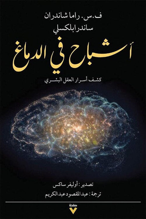 أشباح في الدماغ : كشف أسرار العقل البشري