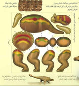 اصنع بيدك أنموذجاً عن الديناصورات